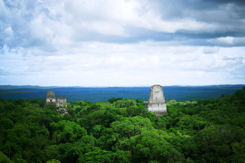Tikal, o planeta dos macacos